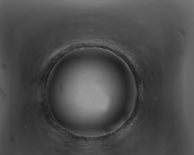 X0000090881494200708031019