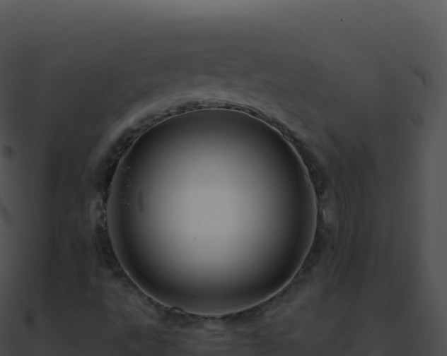 X0000090881495200708031019