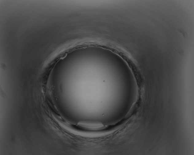 X0000090881496200708031019