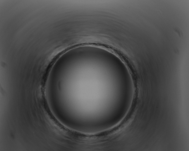 X0000090881497200708031019