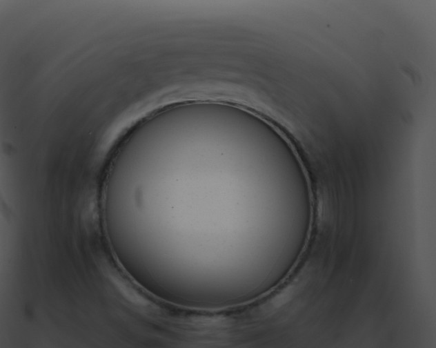 X0000090881498200708031019
