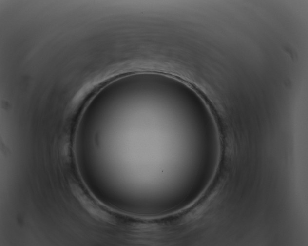 X0000090881499200708031019