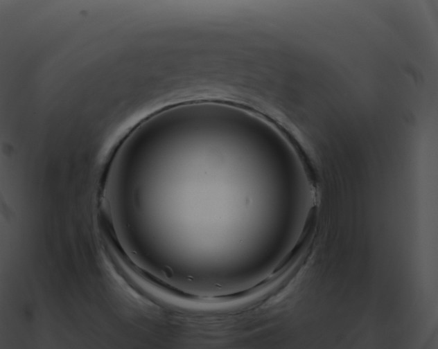 X0000090881500200708031019