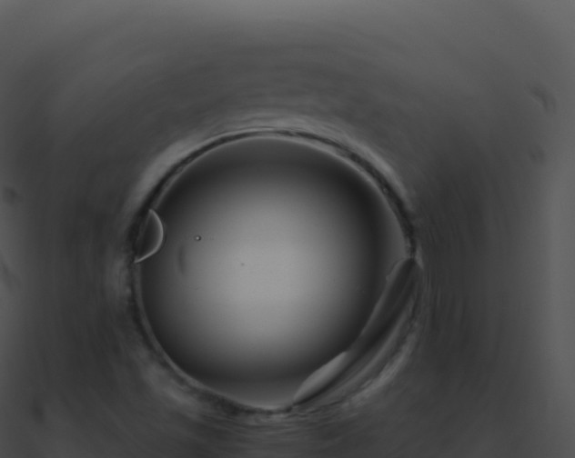 X0000090881501200708031019