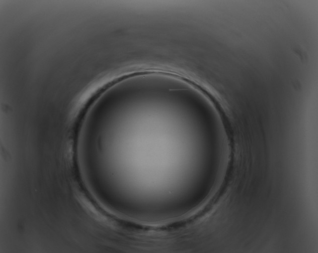 X0000090881503200708031019