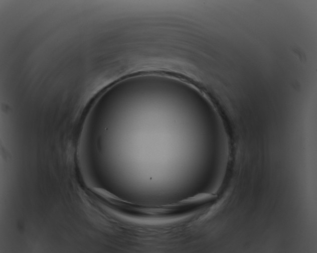 X0000090881505200708031020