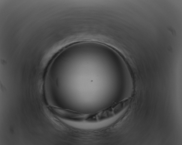 X0000090881507200708031020