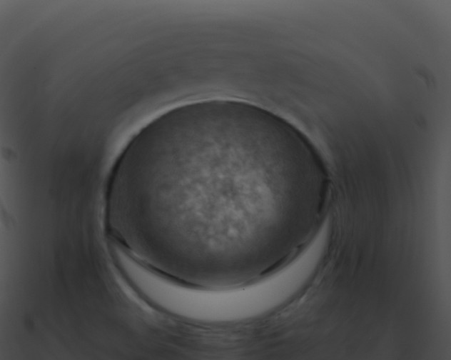 X0000090881508200708031020