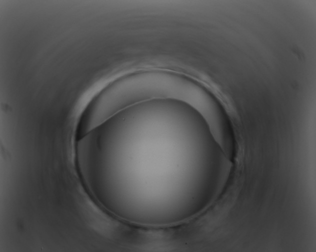 X0000090881512200708031020