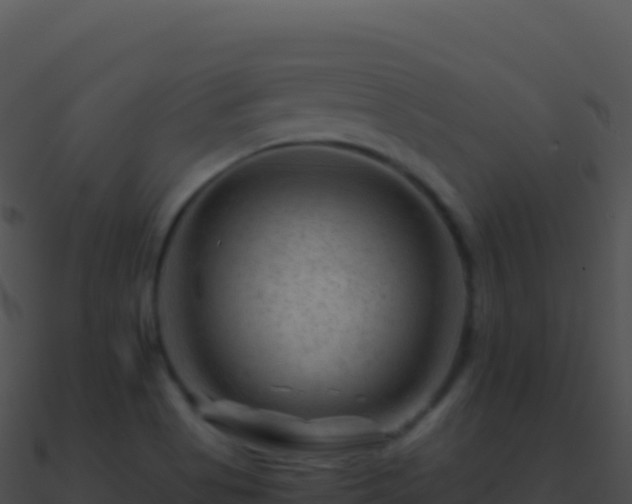 X0000090881513200708031020