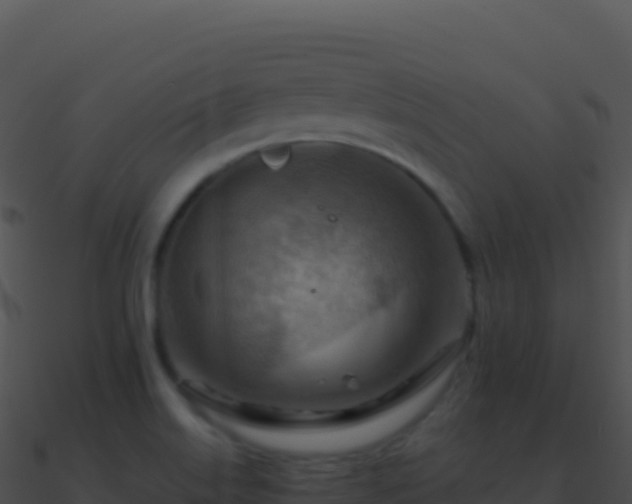 X0000090881515200708031020