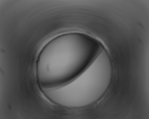 X0000090881516200708031020