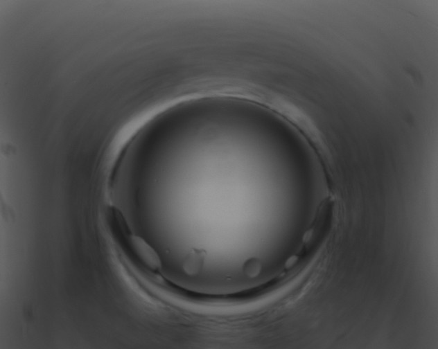 X0000090881520200708031020