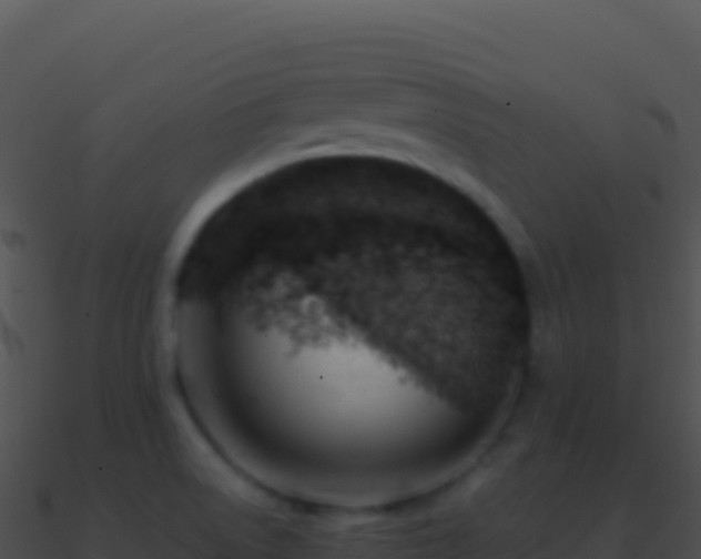 X0000090881522200708031020