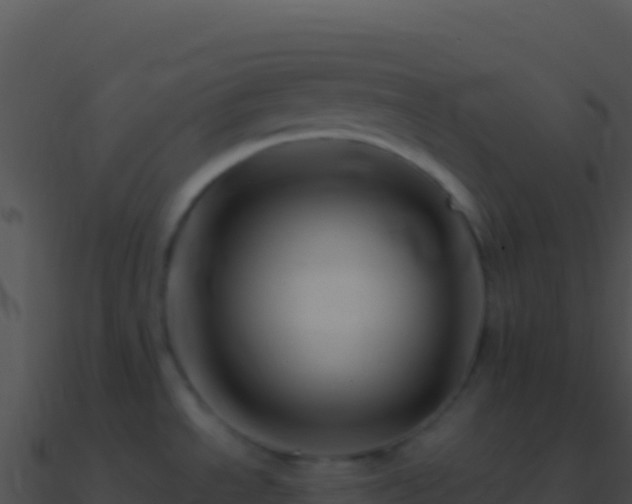 X0000090881534200708031020