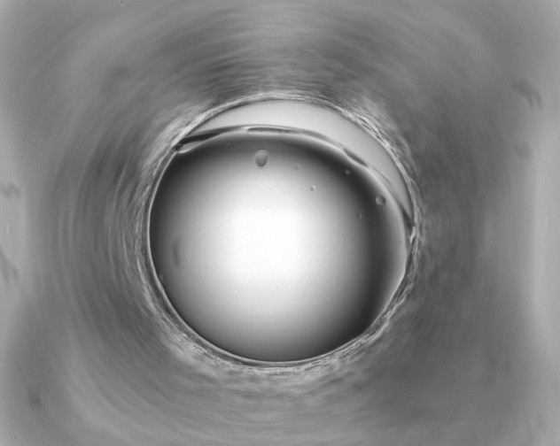 X0000090880001200708101353