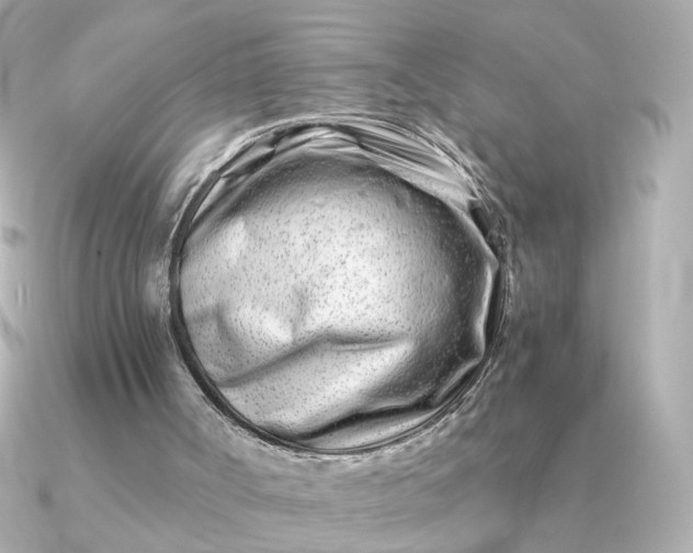 X0000090880002200708101353