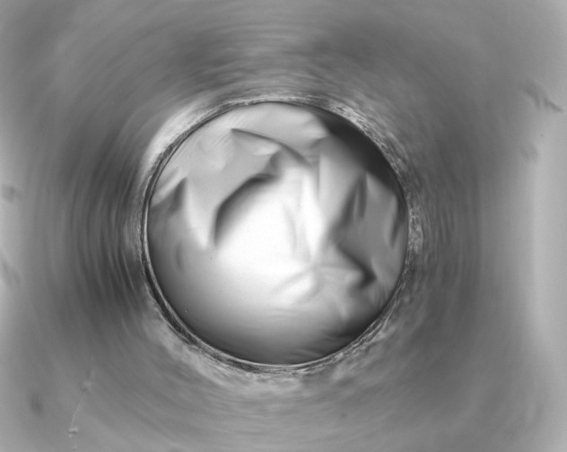 X0000090880004200708101353