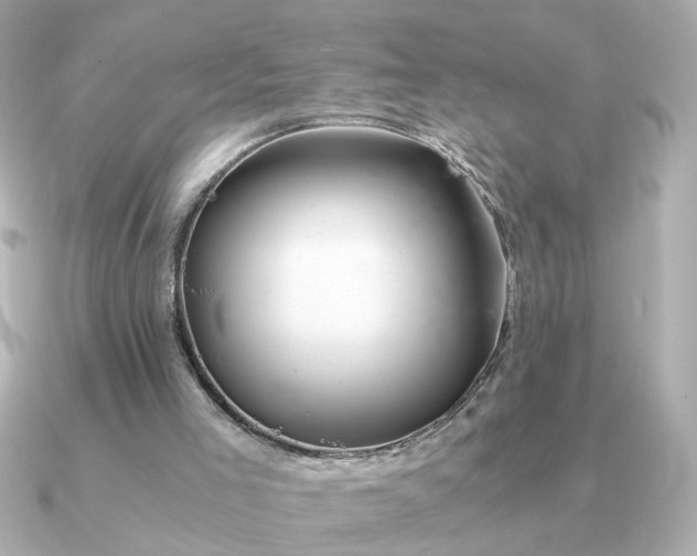 X0000090880005200708101353