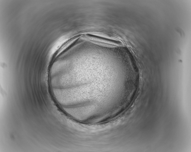 X0000090880006200708101353