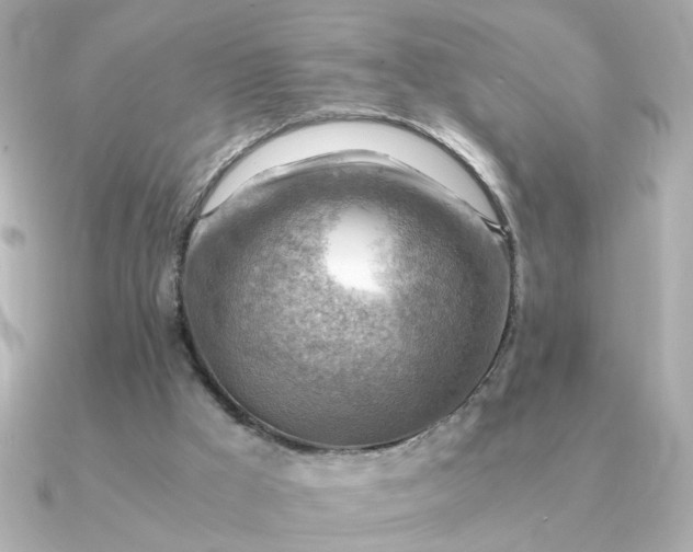 X0000090880009200708101353