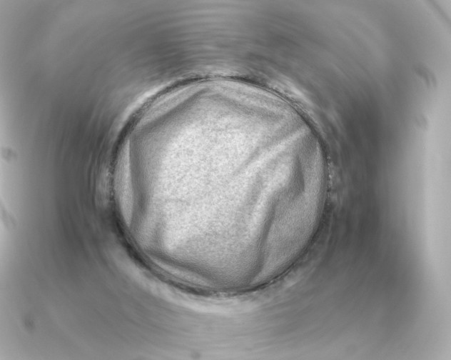 X0000090880012200708101353