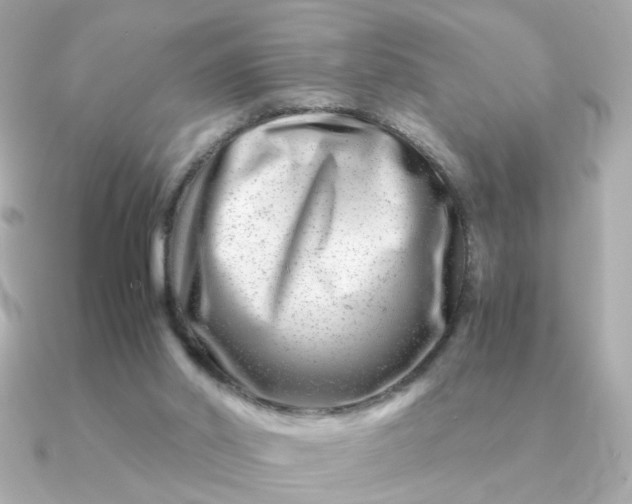 X0000090880014200708101353