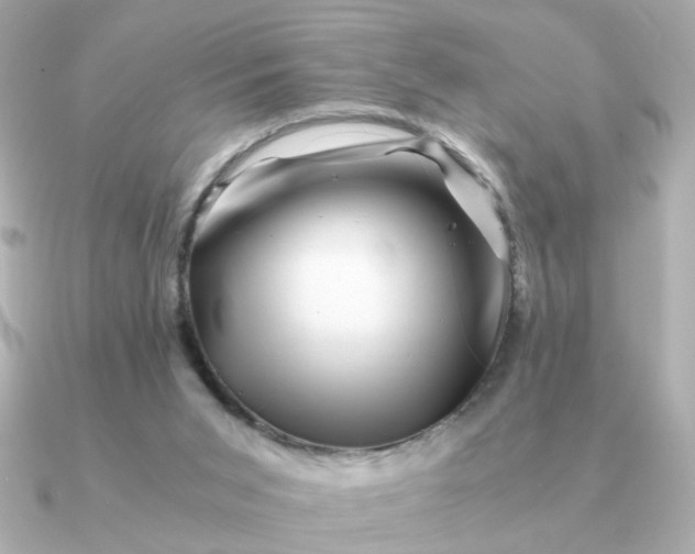 X0000090880015200708101353