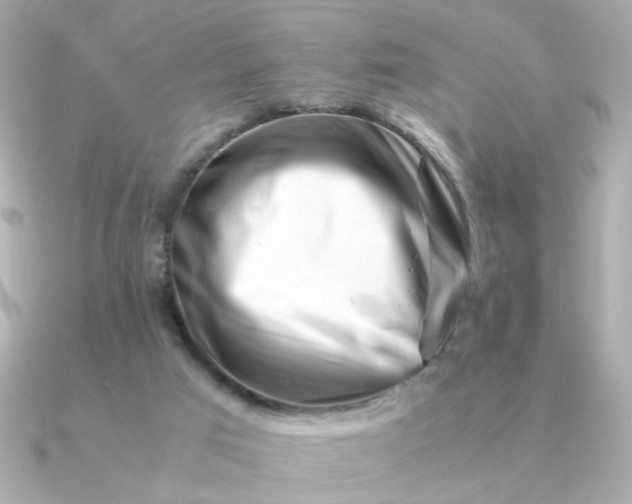 X0000090880017200708101352