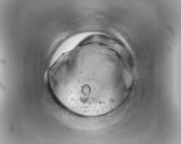 X0000090880019200708101352