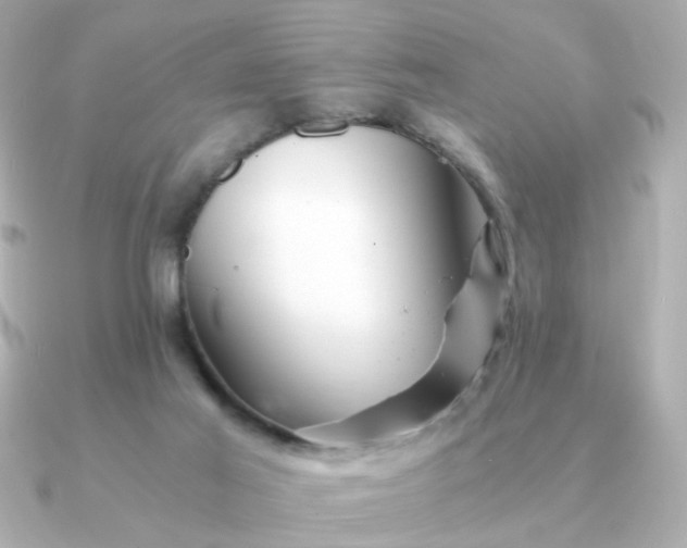 X0000090880021200708101352