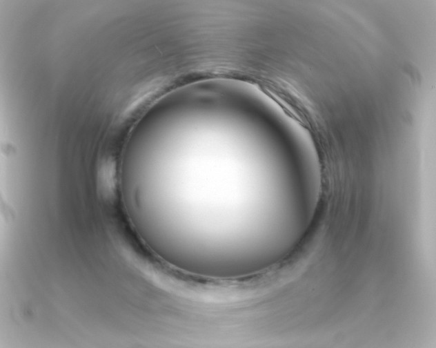 X0000090880024200708101352