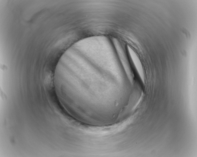 X0000090880029200708101352