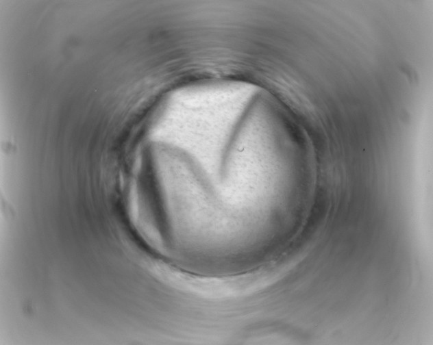 X0000090880030200708101352