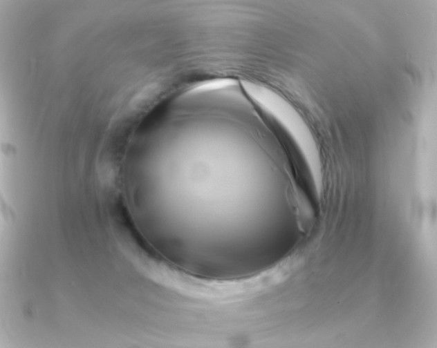 X0000090880031200708101352