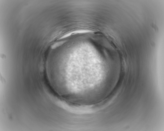 X0000090880032200708101352