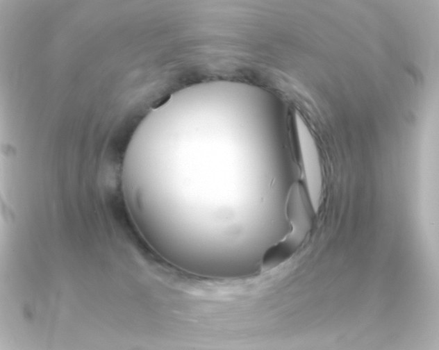 X0000090880033200708101352