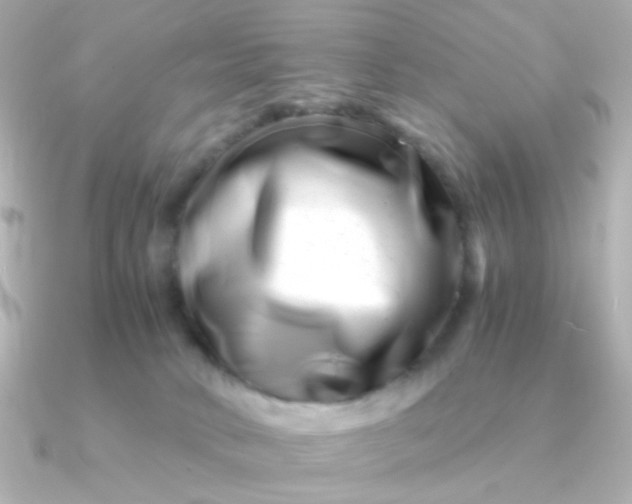 X0000090880034200708101352