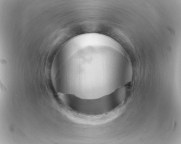 X0000090880035200708101352