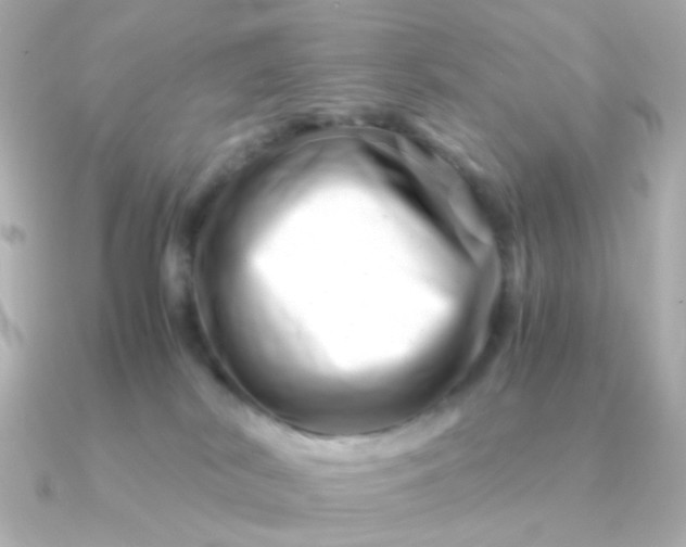 X0000090880038200708101352