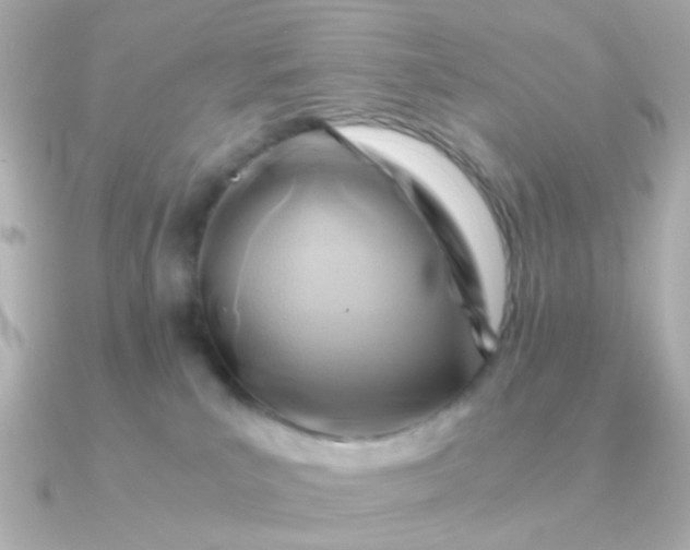 X0000090880039200708101352