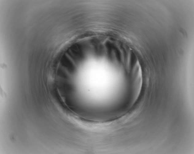 X0000090880040200708101352