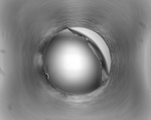 X0000090880041200708101352