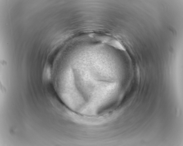 X0000090880042200708101352