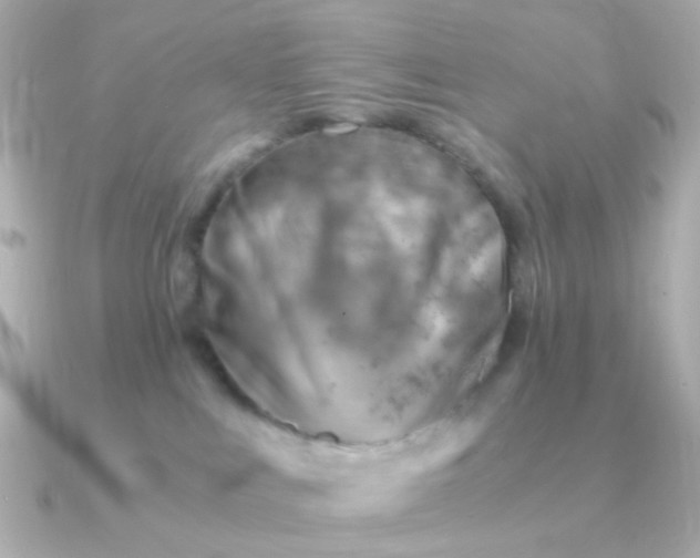 X0000090880043200708101352