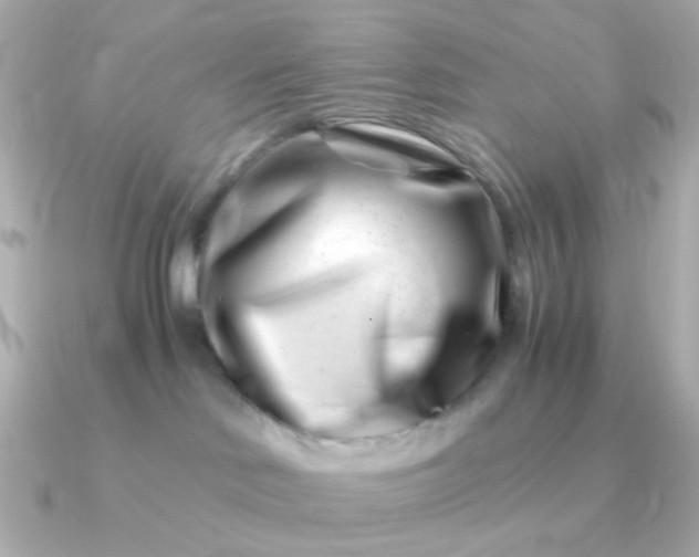 X0000090880046200708101352