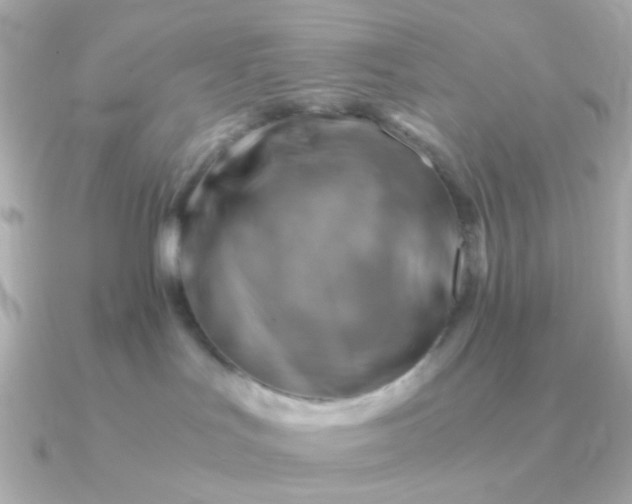 X0000090880047200708101352