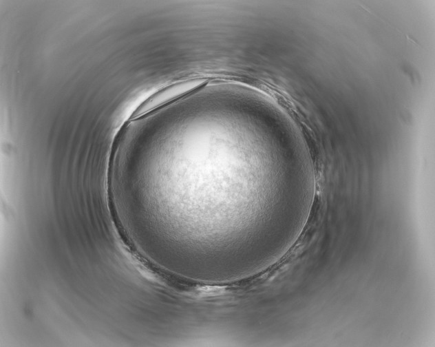 X0000090880052200708101352