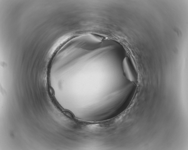 X0000090880054200708101352