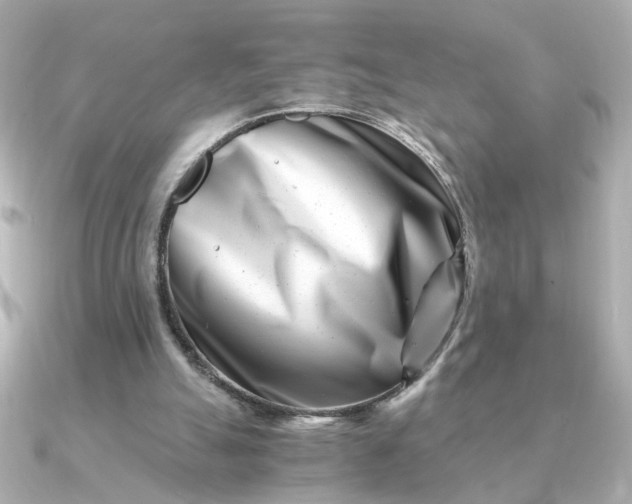 X0000090880055200708101352